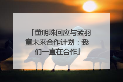 董明珠回应与孟羽童未来合作计划：我们一直在合作