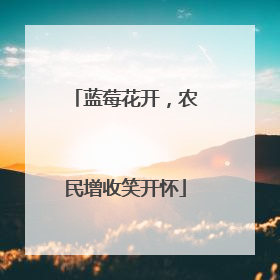 蓝莓花开，农民增收笑开怀