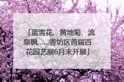 蓝雪花、黄地菊、流泉枫……香坊区首届百花园艺展6月末开展
