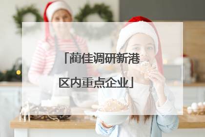 蔺佳调研新港区内重点企业