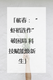 蕲春：“虾稻连作”破困局 科技赋能焕新生
