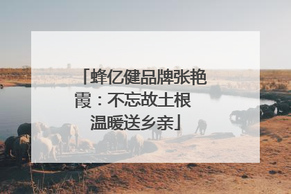 蜂亿健品牌张艳霞：不忘故土根 温暖送乡亲