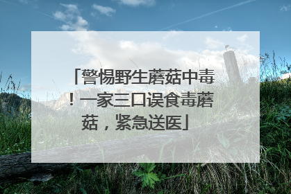 警惕野生蘑菇中毒！一家三口误食毒蘑菇，紧急送医