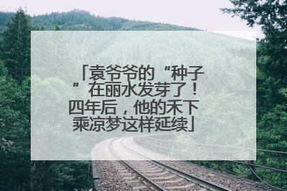 袁爷爷的“种子”在丽水发芽了！四年后，他的禾下乘凉梦这样延续