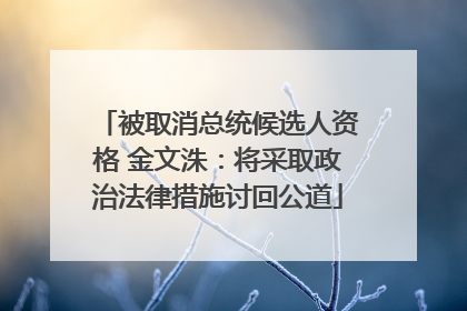 被取消总统候选人资格 金文洙：将采取政治法律措施讨回公道