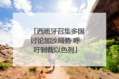 西班牙召集多国讨论加沙局势 呼吁制裁以色列