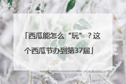 西瓜能怎么“玩”？这个西瓜节办到第37届