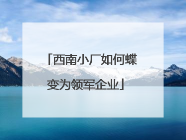 西南小厂如何蝶变为领军企业