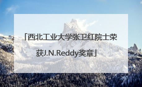 西北工业大学张卫红院士荣获J.N.Reddy奖章