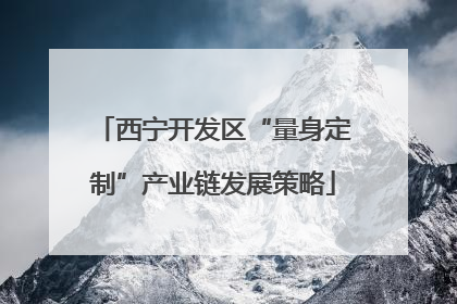 西宁开发区“量身定制”产业链发展策略