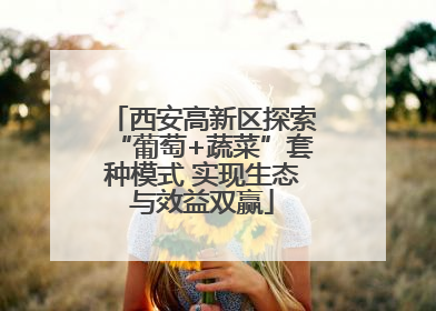 西安高新区探索“葡萄+蔬菜”套种模式 实现生态与效益双赢