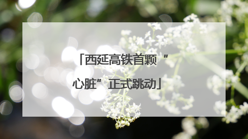 西延高铁首颗“心脏”正式跳动