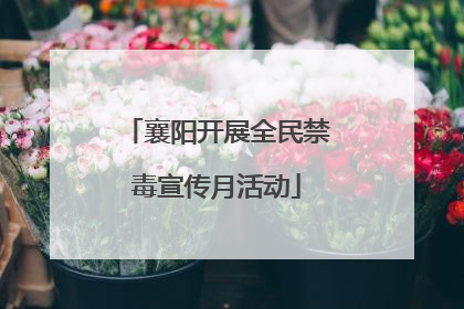 襄阳开展全民禁毒宣传月活动