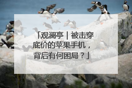 观澜亭｜被击穿底价的苹果手机，背后有何困局？