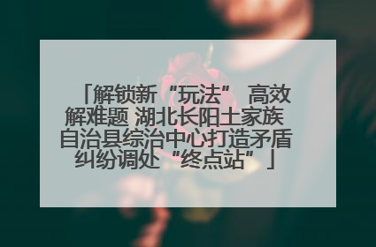 解锁新“玩法” 高效解难题 湖北长阳土家族自治县综治中心打造矛盾纠纷调处“终点站”