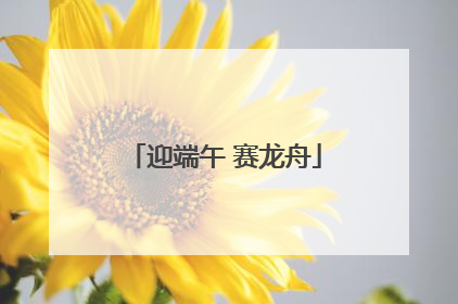 迎端午 赛龙舟