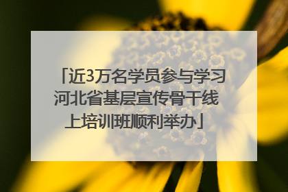 近3万名学员参与学习 河北省基层宣传骨干线上培训班顺利举办