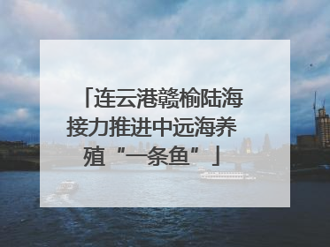 连云港赣榆陆海接力推进中远海养殖“一条鱼”