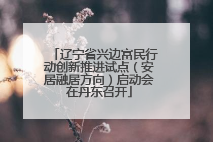 辽宁省兴边富民行动创新推进试点（安居融居方向）启动会在丹东召开