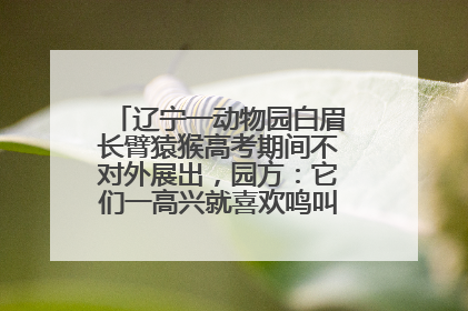 辽宁一动物园白眉长臂猿猴高考期间不对外展出，园方：它们一高兴就喜欢鸣叫，怕影响考试