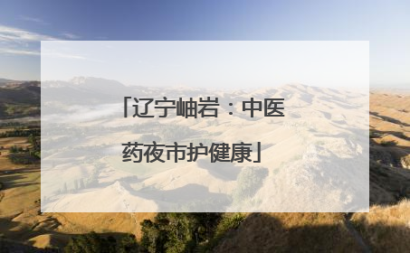 辽宁岫岩：中医药夜市护健康