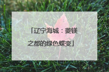 辽宁海城：菱镁之都的绿色蝶变