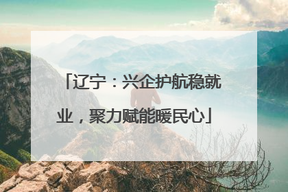 辽宁：兴企护航稳就业，聚力赋能暖民心