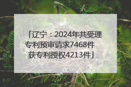 辽宁：2024年共受理专利预审请求7468件 获专利授权4213件