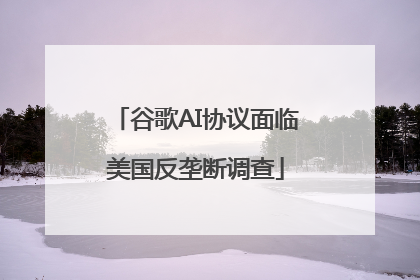 谷歌AI协议面临美国反垄断调查