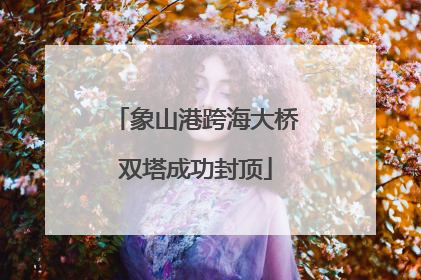 象山港跨海大桥双塔成功封顶