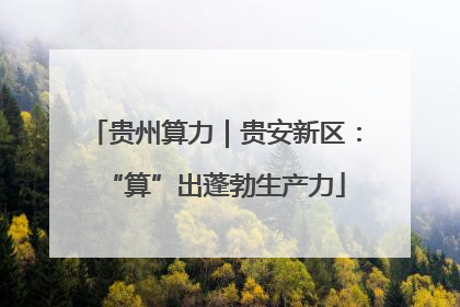 贵州算力｜贵安新区：“算”出蓬勃生产力