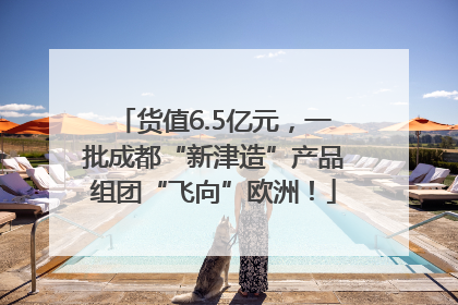 货值6.5亿元，一批成都“新津造”产品组团“飞向”欧洲！