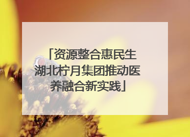 资源整合惠民生 湖北柠月集团推动医养融合新实践