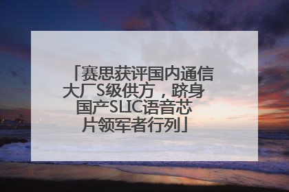 赛思获评国内通信大厂S级供方，跻身国产SLIC语音芯片领军者行列