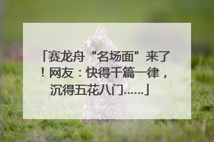 赛龙舟“名场面”来了！网友：快得千篇一律，沉得五花八门……