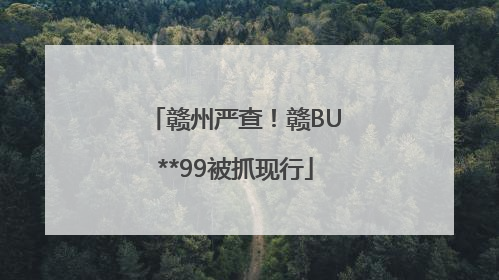 赣州严查！赣BU**99被抓现行