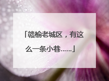 赣榆老城区，有这么一条小巷……