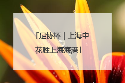 足协杯｜上海申花胜上海海港