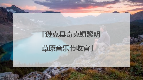 逊克县奇克镇黎明草原音乐节收官