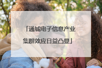 通城电子信息产业集群效应日益凸显