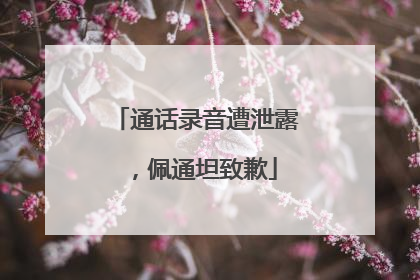 通话录音遭泄露，佩通坦致歉