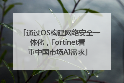 通过OS构建网络安全一体化，Fortinet看重中国市场AI需求