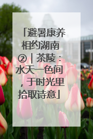避暑康养 相约湖南②｜茶陵：水天一色间，于时光里拾取诗意