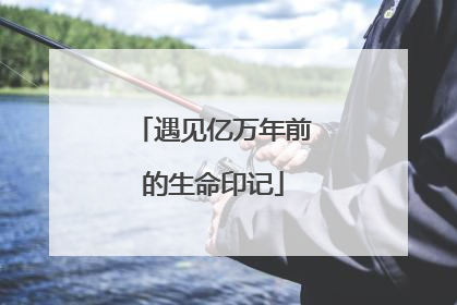 遇见亿万年前的生命印记