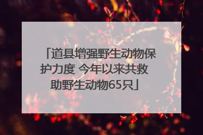 道县增强野生动物保护力度 今年以来共救助野生动物65只
