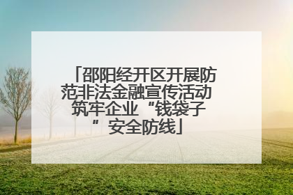 邵阳经开区开展防范非法金融宣传活动 筑牢企业“钱袋子”安全防线