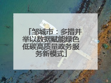 邹城市：多措并举以数据赋能绿色低碳高质量政务服务新模式