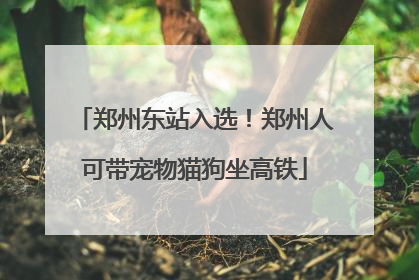 郑州东站入选！郑州人可带宠物猫狗坐高铁