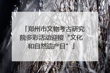 郑州市文物考古研究院多彩活动迎接“文化和自然遗产日”