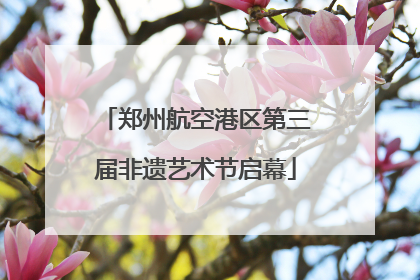 郑州航空港区第三届非遗艺术节启幕